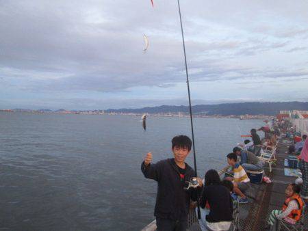 尼崎市立魚つり公園 釣果