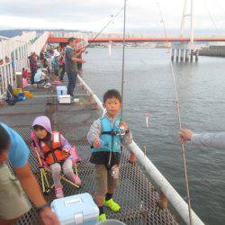 尼崎市立魚つり公園 釣果