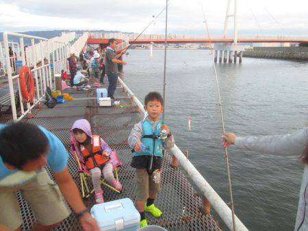 尼崎市立魚つり公園 釣果