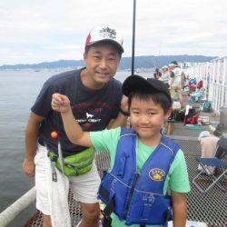 尼崎市立魚つり公園 釣果