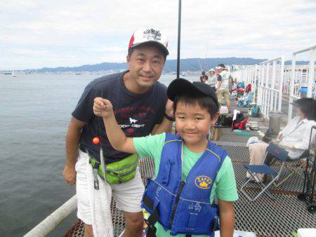 尼崎市立魚つり公園 釣果