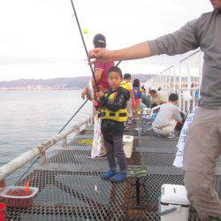 尼崎市立魚つり公園 釣果