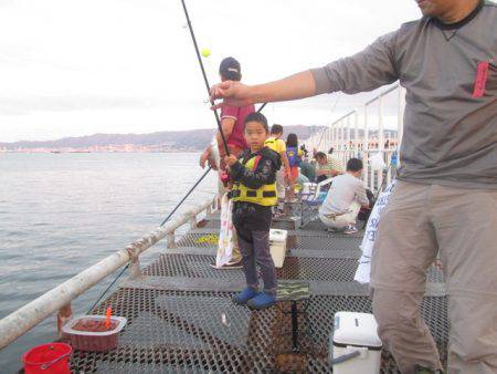 尼崎市立魚つり公園 釣果