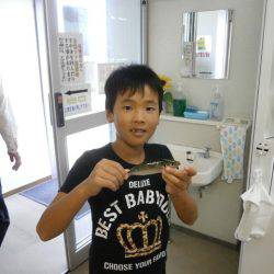 大阪南港海つり公園 釣果