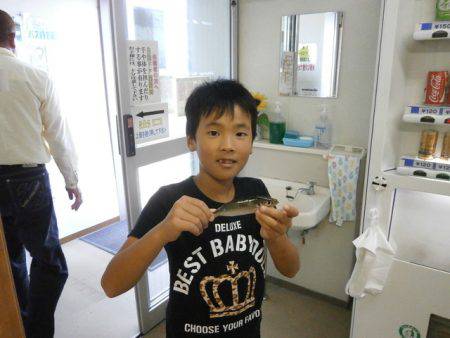 大阪南港海つり公園 釣果