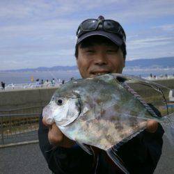 大阪南港海つり公園 釣果