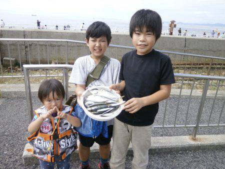 大阪南港海つり公園 釣果