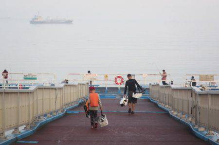 オリジナルメーカー海づり公園(市原市海づり施設) 釣果