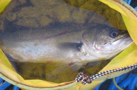 オリジナルメーカー海づり公園(市原市海づり…