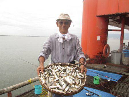 尼崎市立魚つり公園 釣果
