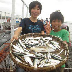 尼崎市立魚つり公園 釣果