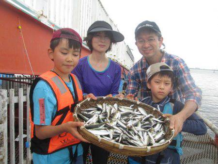 尼崎市立魚つり公園 釣果