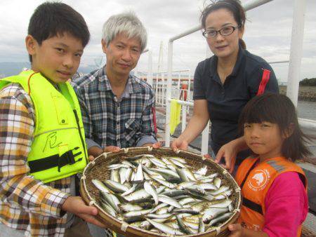 尼崎市立魚つり公園 釣果