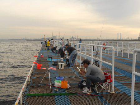 オリジナルメーカー海づり公園(市原市海づり施設) 釣果