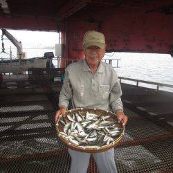 尼崎市立魚つり公園 釣果
