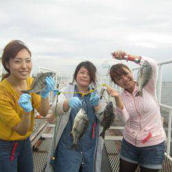 尼崎市立魚つり公園 釣果