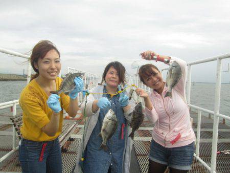 尼崎市立魚つり公園 釣果