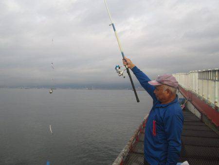 尼崎市立魚つり公園 釣果