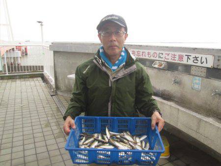 尼崎市立魚つり公園 釣果