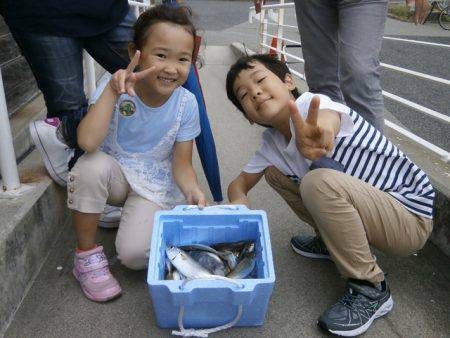 大阪南港海つり公園 釣果