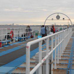 オリジナルメーカー海づり公園(市原市海づり施設) 釣果