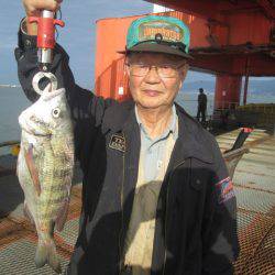 尼崎市立魚つり公園 釣果