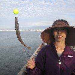 尼崎市立魚つり公園 釣果