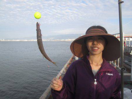 尼崎市立魚つり公園 釣果