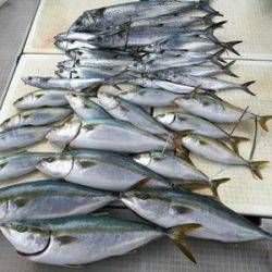 ミタチ丸 釣果