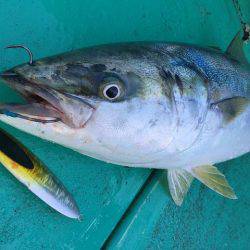 広進丸 釣果