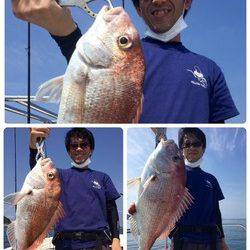 YELLOW-TAIL　イエローテール 釣果