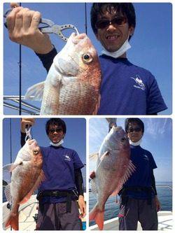 YELLOW-TAIL　イエローテール 釣果