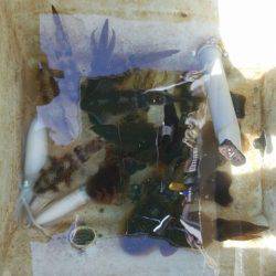 Magic(マジック) 釣果