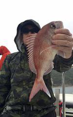 YELLOW-TAIL イエローテール 釣果