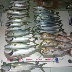 スカイマリン 釣果