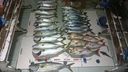 スカイマリン 釣果