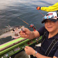 深川　吉野屋 釣果