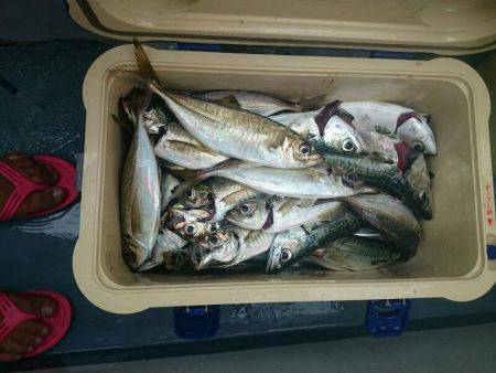 深川 吉野屋 釣果