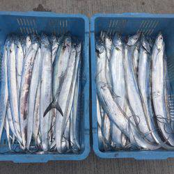 釣り船角田 釣果