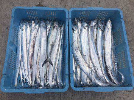 釣り船角田 釣果