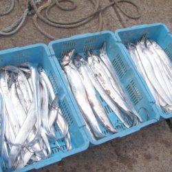 釣り船角田 釣果