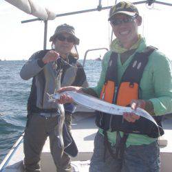 釣り船角田 釣果