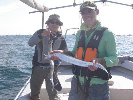 釣り船角田 釣果