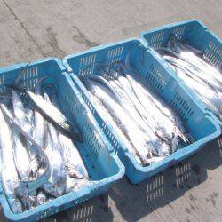 釣り船角田 釣果