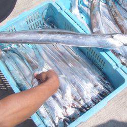 釣り船角田 釣果