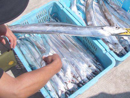 釣り船角田 釣果