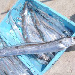 釣り船角田 釣果