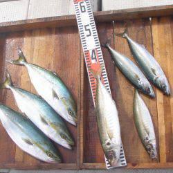 釣り船角田 釣果