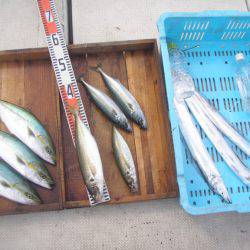 釣り船角田 釣果