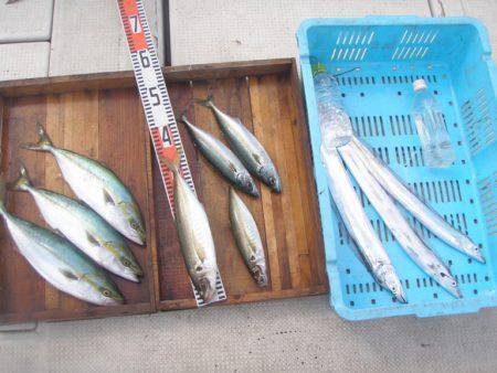 釣り船角田 釣果